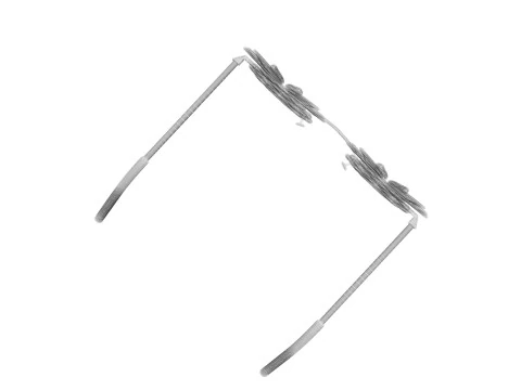 Pineapple Sunglasses 3D Model