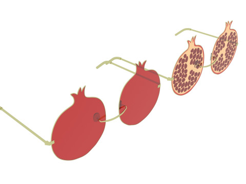 Pomegranate Sunglasses 3Dモデル