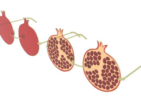 Pomegranate Sunglasses 3Dモデル