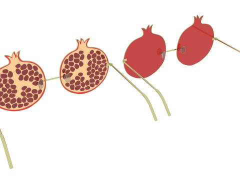 Pomegranate Sunglasses 3Dモデル