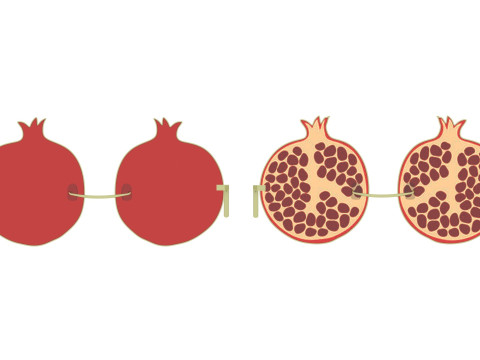 Pomegranate Sunglasses 3Dモデル
