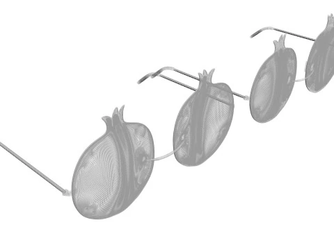 Pomegranate Sunglasses 3D Model