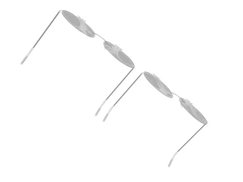 Pomegranate Sunglasses 3D Model