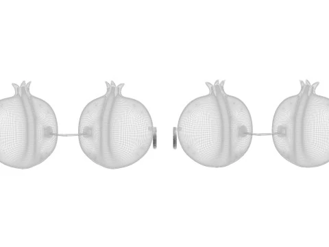 Pomegranate Sunglasses 3D Model