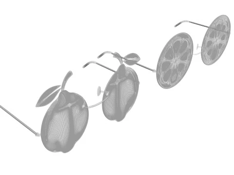 Fruit Sunglasses Collection 3D Model