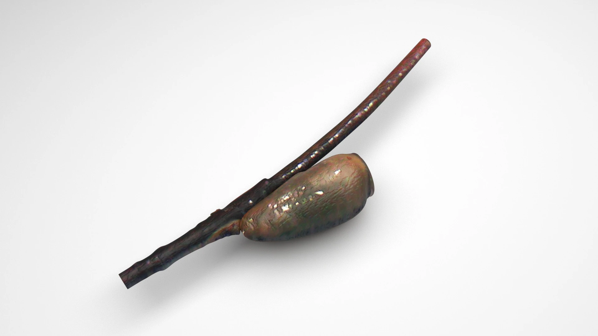 シラミの卵 3Dモデル .c4d .max .obj .3ds .fbx .stl .blend 