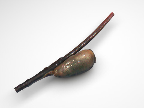 Louse Egg 3D Model