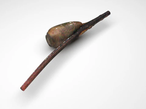 シラミの卵 3Dモデル