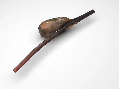 シラミの卵 3Dモデル