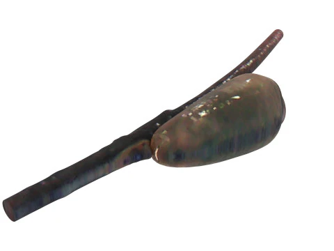 シラミの卵 3Dモデル