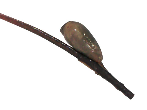 シラミの卵 3Dモデル