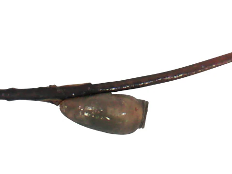 シラミの卵 3Dモデル