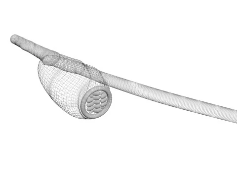 シラミの卵 3Dモデル