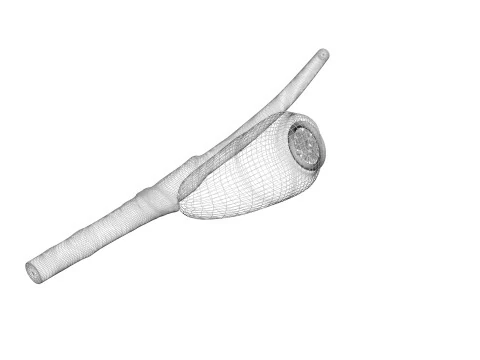 シラミの卵 3Dモデル