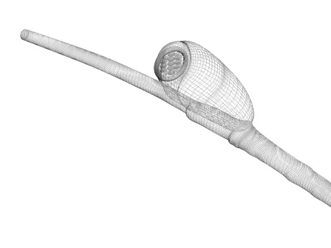 シラミの卵 3Dモデル
