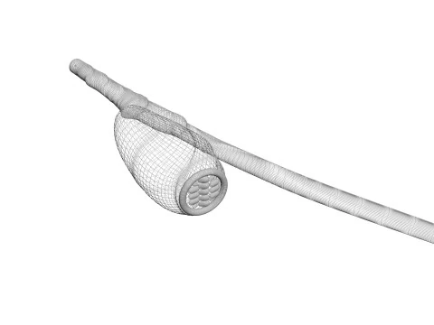 シラミの卵 3Dモデル