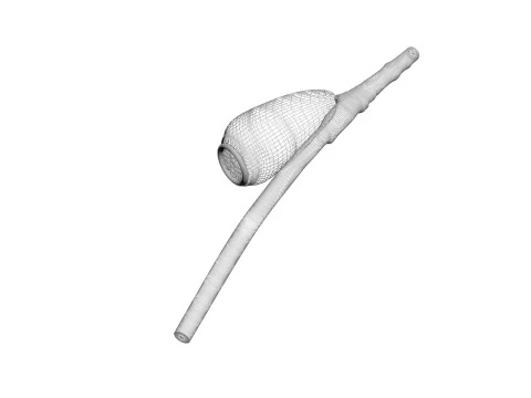 シラミの卵 3Dモデル