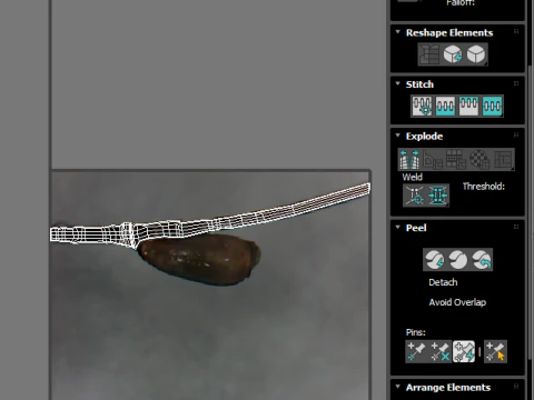 シラミの卵 3Dモデル