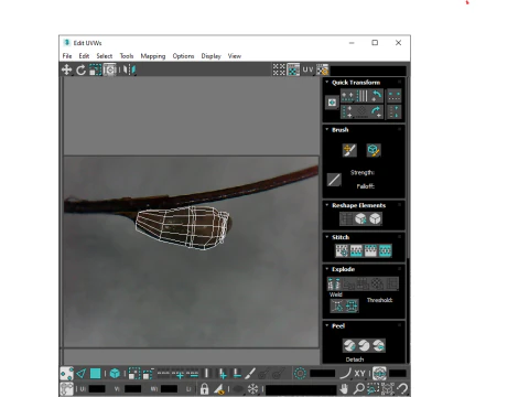 シラミの卵 3Dモデル