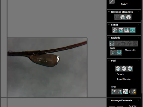 シラミの卵 3Dモデル