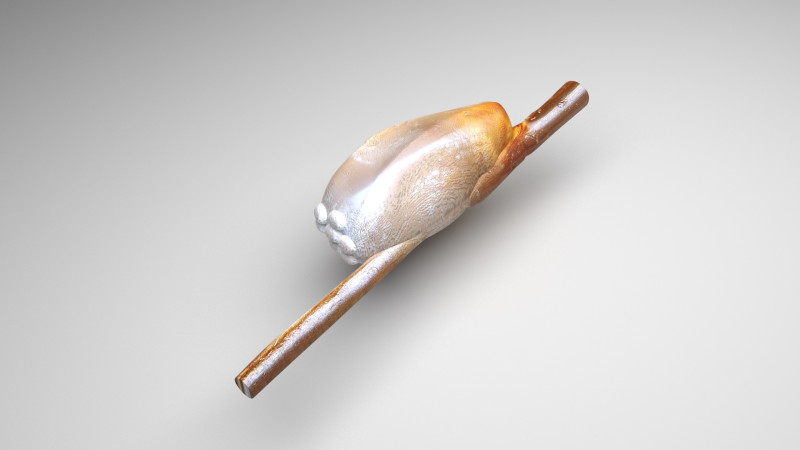 Head Louse Nit Model 3D .c4d .max .obj .3ds .fbx .stl .blend