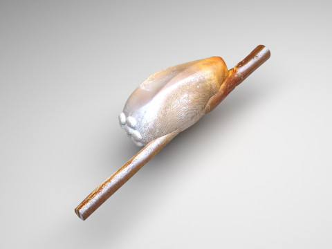 Head Louse Nit 3D Model