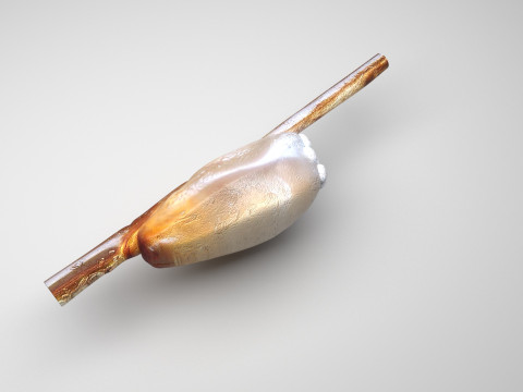 Head Louse Nit Model 3D