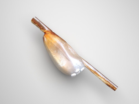 Head Louse Nit Model 3D