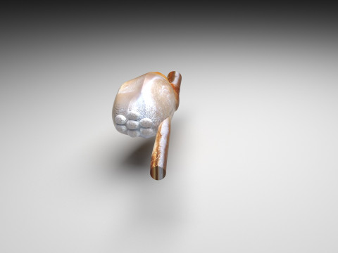 Head Louse Nit Model 3D