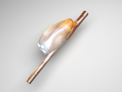 Head Louse Nit Model 3D