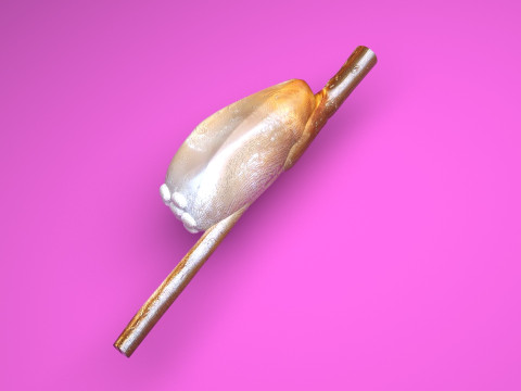 Head Louse Nit Model 3D