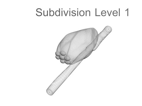 Head Louse Nit Model 3D