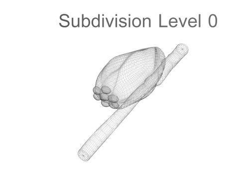 Head Louse Nit Model 3D
