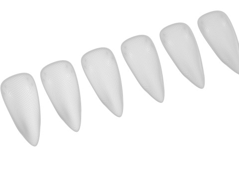 Artificial Nails Modello 3D