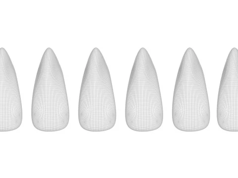 Unghie artificiali Modello 3D