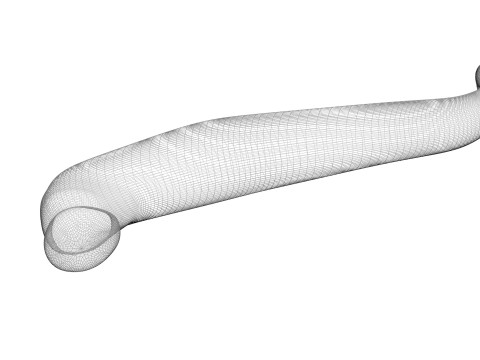 Leech Hirudo Medicinalis 3D Model
