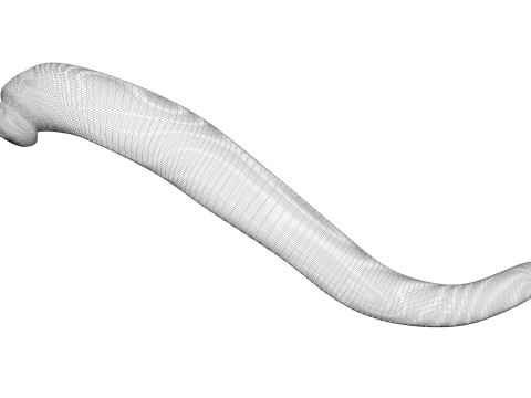 Leech Hirudo Medicinalis 3D Model