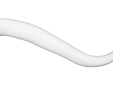 Leech Hirudo Medicinalis 3D Model