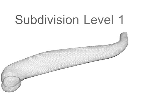 Leech Hirudo Medicinalis 3D Model