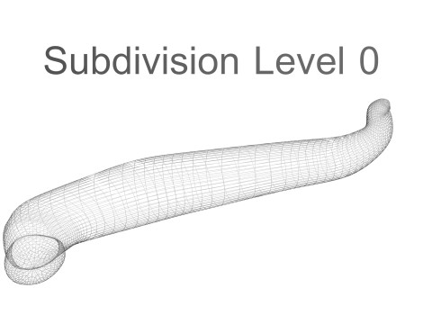 Leech Hirudo Medicinalis 3D Model