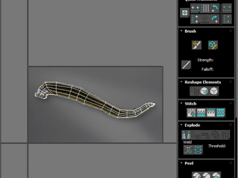 Leech Hirudo Medicinalis 3D Model