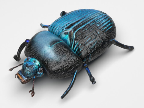Beetle Modelo 3D