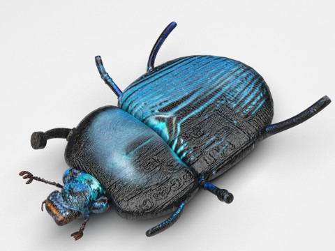Beetle Modelo 3D