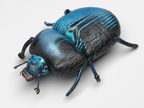 Beetle Modelo 3D