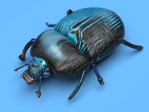 Жук 3D Модель