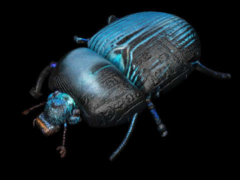 Beetle Modelo 3D