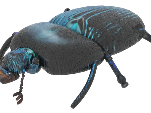 Жук 3D Модель