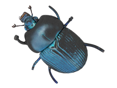 Beetle Modelo 3D