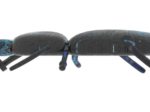 Beetle Modelo 3D