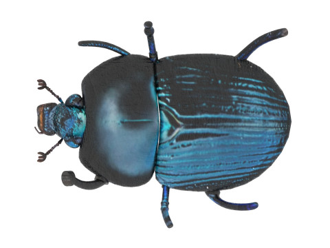 Beetle Modelo 3D